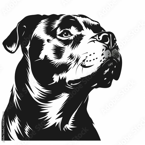 a black and white image of a dog with a collar
