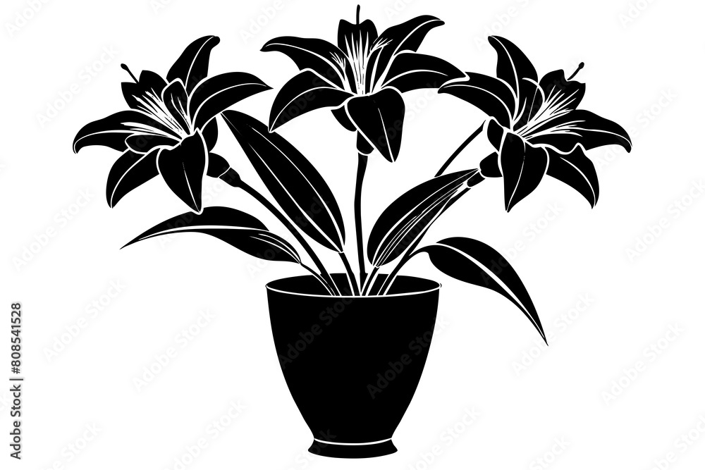 daylily flower in vase silhouette on white background, Vector illustration, silhouette, bird, icon, svg, characters, Holiday t shirt, Hand drawn trendy Vector illustration, Rose flower daylily flower in vase silhouette on white background, Vector illustration, silhouette, bird, icon, svg, characters, Holiday t shirt, Hand drawn trendy Vector illustration, Rose flower