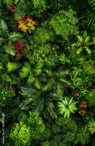 A rainforest canopy view from above  highlighting the lush greens and occasional bursts of colorful birds or flowers