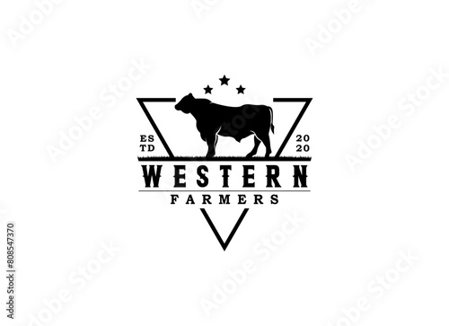 Western Bull Cow Buffalo Longhorn Head silhouette with star for Ranch Farm Livestock logo design