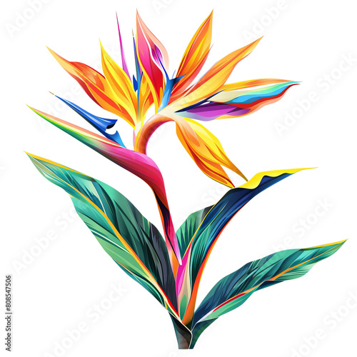 vibrant colors of a bird of paradise flower