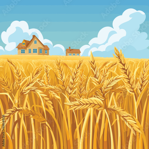 Golden wheat field ripe harvest, farmhouses background under blue sky fluffy clouds. Wheat stalks up close, countryside farming landscape, warm summer fall harvest scene. Amber grains waving gently