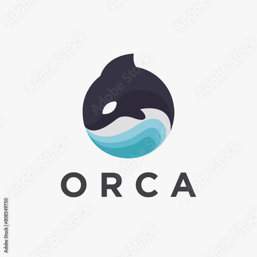 Abstract modern jumping orca killer whale logo icon vector on white background