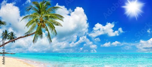 Tropical island paradise sea beach, ocean water, green coconut palm tree leaves, sand, sun blue sky cloud, beautiful nature landscape, Caribbean, Maldives, Thailand, summer holidays, vacation, travel © Vera NewSib