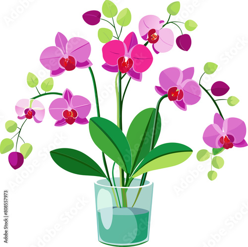 orchid flower in Glass vases with blue water. Cute colorful flower icon collection. White background. Flat design