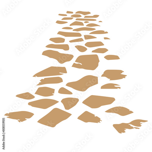 Isolated Stone Path