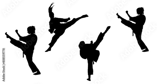 Silhouette collection of woman doing a martial art kick. Silhouette collection of sporty female doing kicking movement.