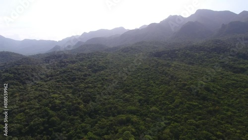 Aerial view of the Atlantic Forest in Serra do Mar (Pico do Marumbi State Park) - Morretes, Paraná, Brazil photo