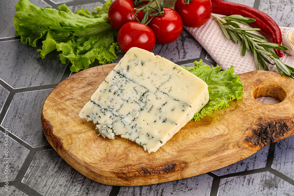 Gourmet blue cheese with mold Gourmet blue cheese with mold