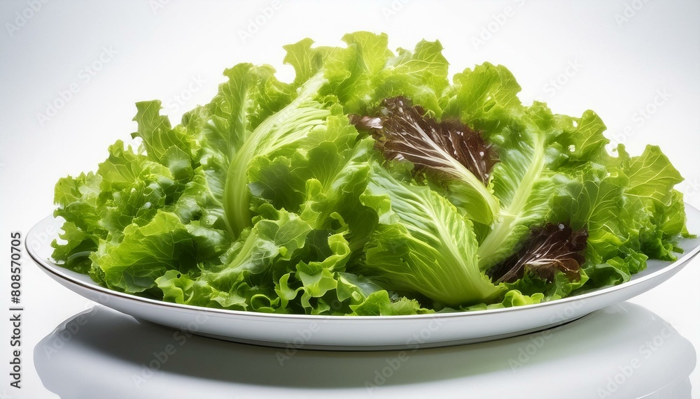 fresh green salad,salad, food, vegetable, lettuce, green, fresh, healthy, vegetarian, fresh green salad,salad, food, vegetable, lettuce, green, fresh, healthy, vegetarian,