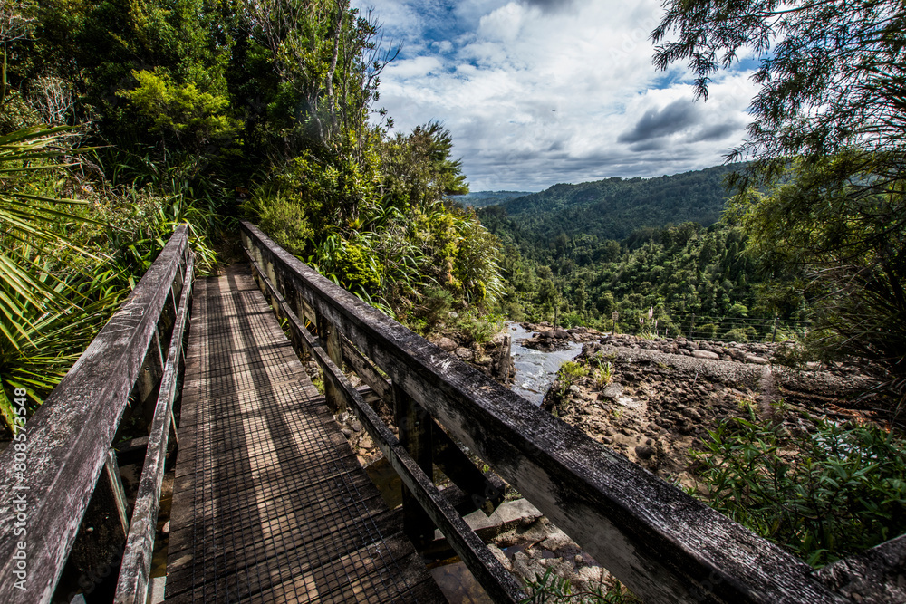 Obraz premium Waitakere ranges regional park lookout from a wooden bridge