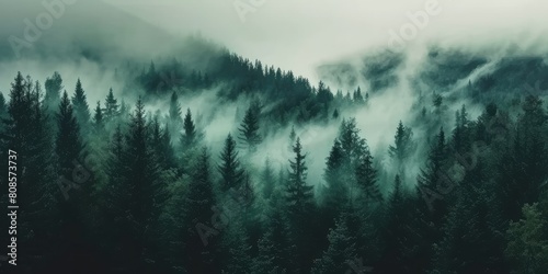 Whispers of the Past  Capturing the Essence of Misty Landscapes in Vintage Retro Style with Fir Forests