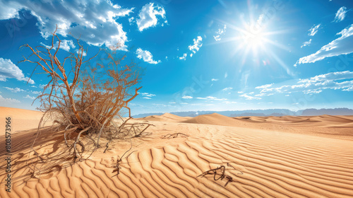 Desert landscape with dead plants in sand dunes under sunny sky Global warming concept Nature background