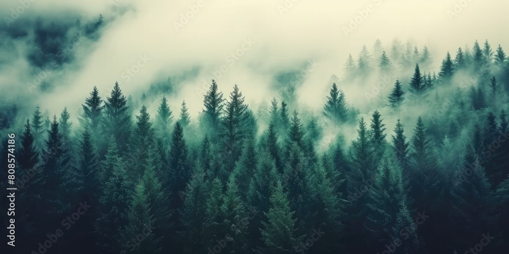 Enigmatic Vistas: Vintage Retro Style Misty Landscape with Majestic Fir Forest