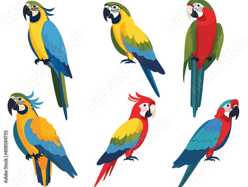 Colorful parrots vector illustration, showing different species perch. Exotic birds vibrant plumage, tropical wildlife graphics. Cartoon parrots, blue, yellow, red, green feathers, detailed beaks