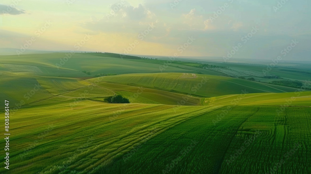 Aerial view of green rolling hills with agricultural fields.