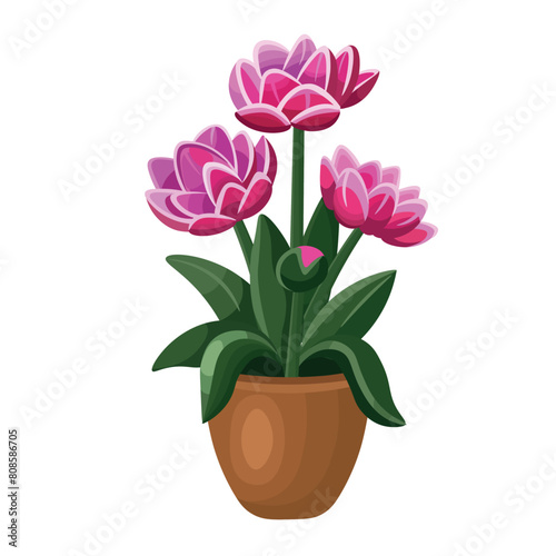 Tulips in a pot on a white background  hand drawing vector in cartoon.