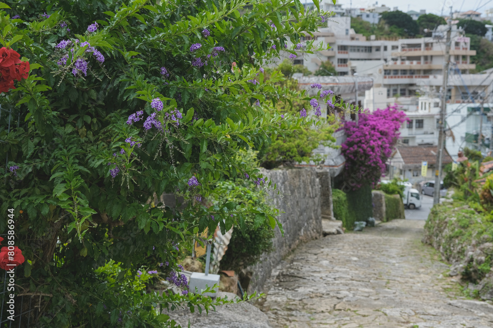 Kinjo-cho, Shuri cobblestone street, leading to Madan-bashi bridge on the Kokuba River from Shuri Castle in Naha, Okinawa Japan garden landscape nature scenery Kinjo-cho, Shuri cobblestone street, leading to Madan-bashi bridge on the Kokuba River from Shuri Castle in Naha, Okinawa Japan garden landscape nature scenery
