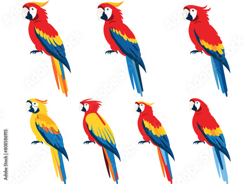 Colorful parrots perched, vivid red, yellow, blue feathers, exotic birds, multiple poses. Brightly colored tropical macaws, illustrations isolated white background, avian theme. Scarlet macaws © Vectorvstocker