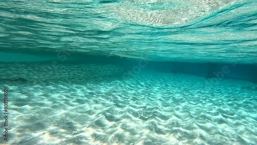 Diving with fish. Keeltail needlefish swims under the surface. School of Sardina pilchardus. photo