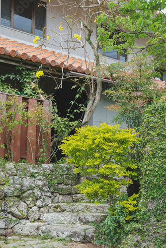 Kinjo-cho, Shuri cobblestone street, leading to Madan-bashi bridge on the Kokuba River from Shuri Castle in Naha, Okinawa Japan garden landscape nature scenery photo