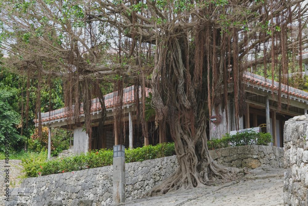 Ταπετσαρία Kinjo-cho, Shuri cobblestone street, leading to Madan-bashi bridge on the Kokuba
