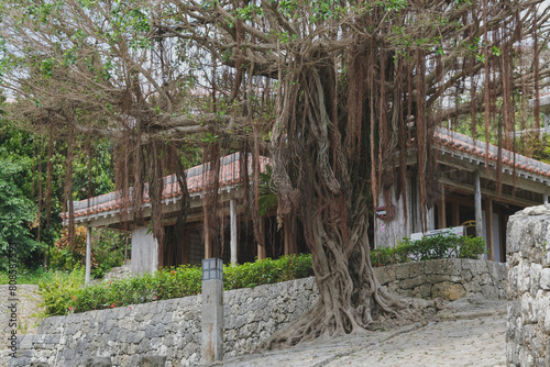 Canvastavla Kinjo-cho, Shuri cobblestone street, leading to Madan-bashi bridge on the Kokuba