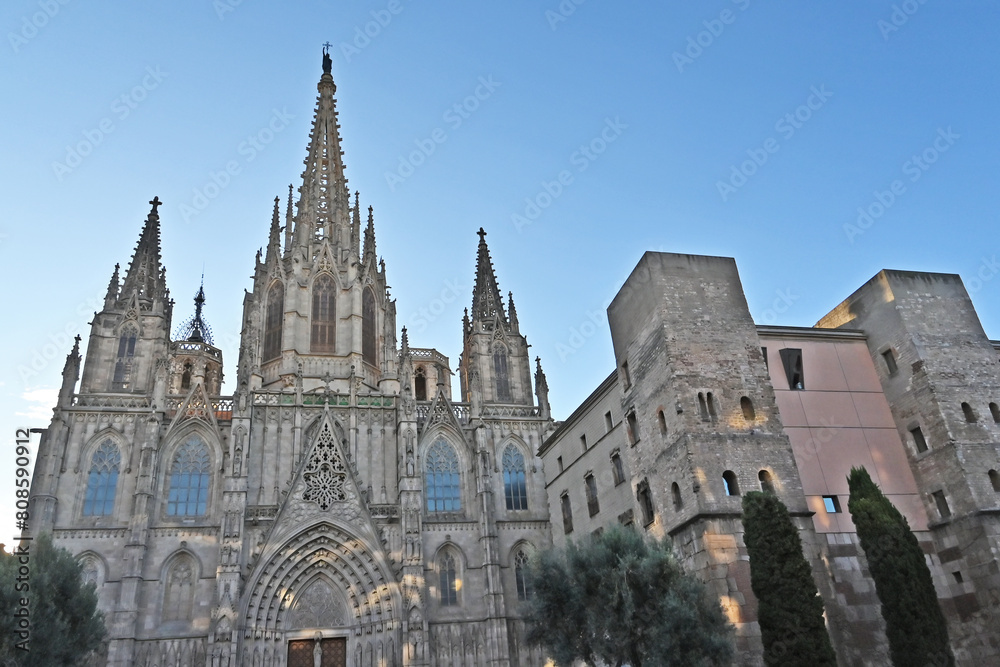 Barcellona, La cattedrale di Barcellona, totti, contrafforti e decorazioni gptiche - Catalogna, Spagna	
