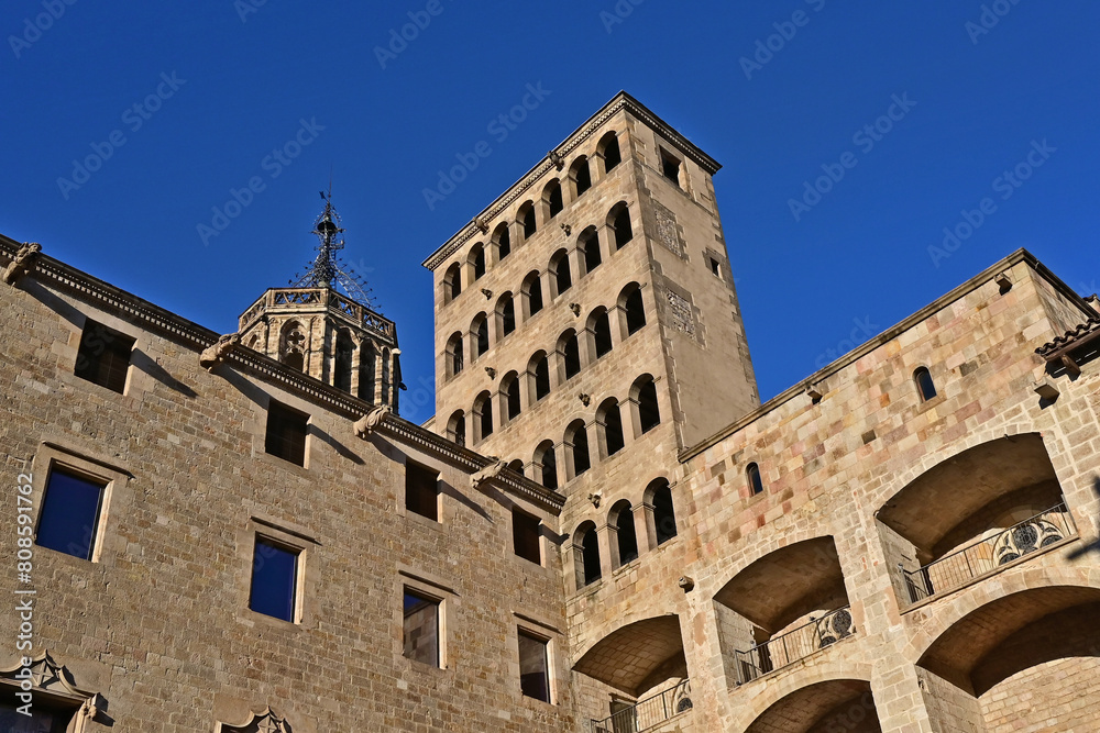 Barcellona, La cattedrale di Barcellona, totti, contrafforti e decorazioni gptiche - Catalogna, Spagna	
