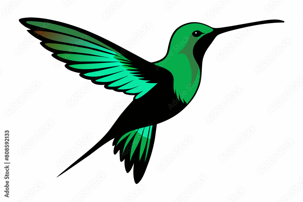 Obraz premium A humming bird silhouette black vector artwork illustration