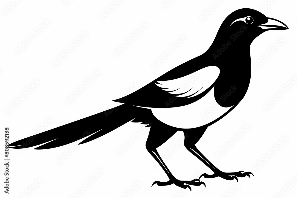 Fototapeta premium A magpie different style silhouette black vector artwork illustration 