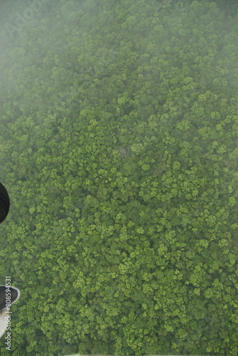 Ariel view of the jungle rain forest canopy in Toledo District, Southern Belize, Central America with tree tops in lush green taken from a light aircraft