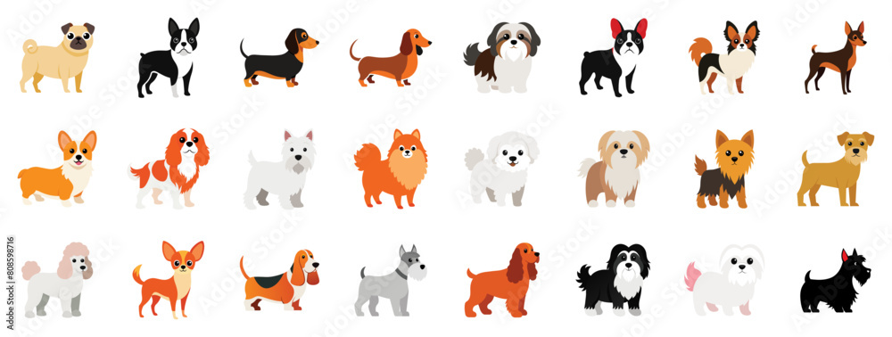 Collection of Dog Breeds Icons, vector flat cartoon illustration. Small indoor dogs - French Bulldog, Corgi, Beagle, Dachshund, Shih Tzu, Yorkshire Terrier, Maltese, Bichon Frise.