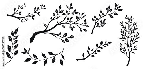 Tree branches vector illustration. Branch with leaves hand drawn black on white background. Plant foliage silhouette.