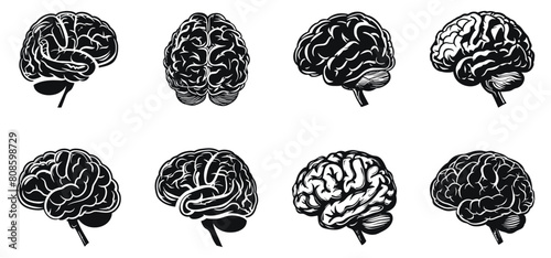 Human Brain vector illustration. Memory concept hand drawn black on white background. Neurology silhouette. photo