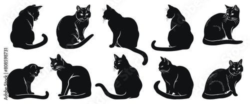 Cat vector illustration. Different cats sitting hand drawn black on white background. Pet silhouette.