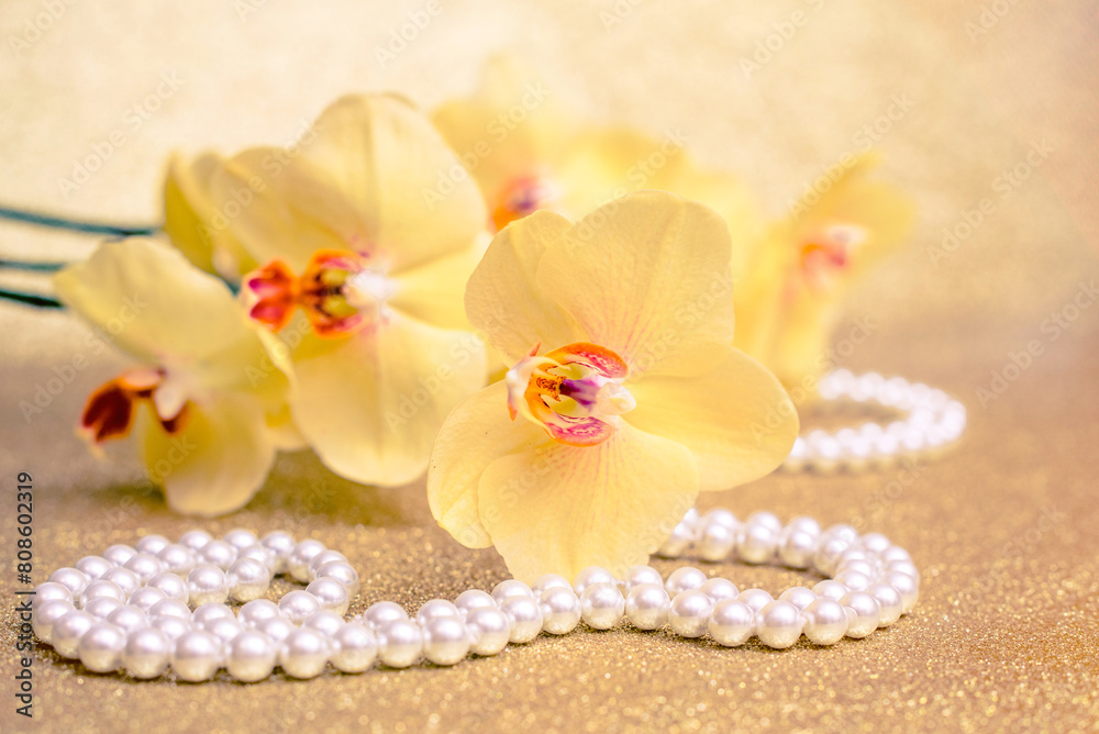 yellow Orchid and pearl necklace on a shiny gold background