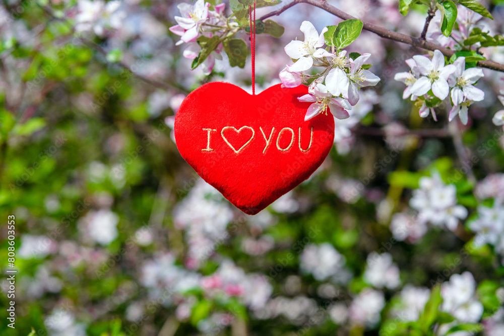 A symbol of love among the branches of a flowering apple
