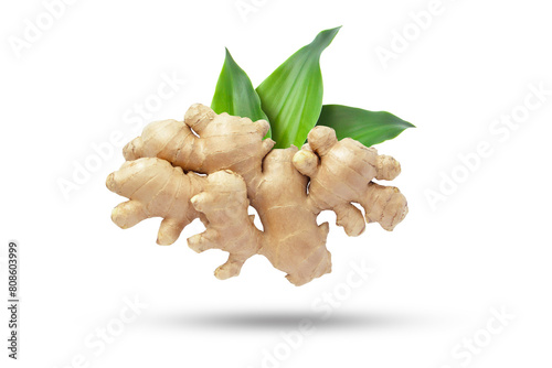 Flying ginger root with green leaves and shadow isolated on white background.