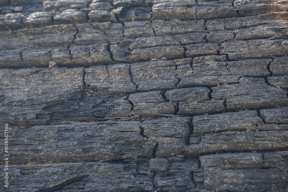 wood texture background burning and turning into wood charcoal. photo concept for forest burning, illegal logging causing climate change wood texture background burning and turning into wood charcoal. photo concept for forest burning, illegal logging causing climate change