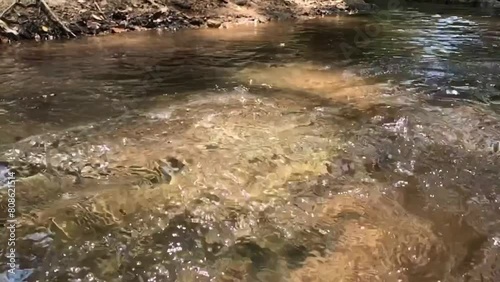Gentle ripples adorn the crystal-clear stream, reflecting sunlight like shimmering diamonds amidst verdant landscapes.