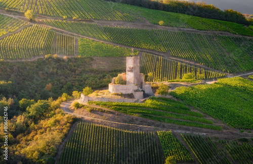 Golden Light Over Wineck Castle and Alsatian Vineyards at Sunset photo