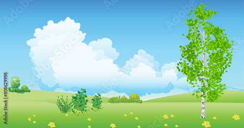 Landscape with a lonely birch tree in the field in the summer season. Realistic style vector illustration.