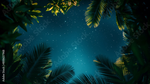 A starry night sky with palm trees in the foreground
