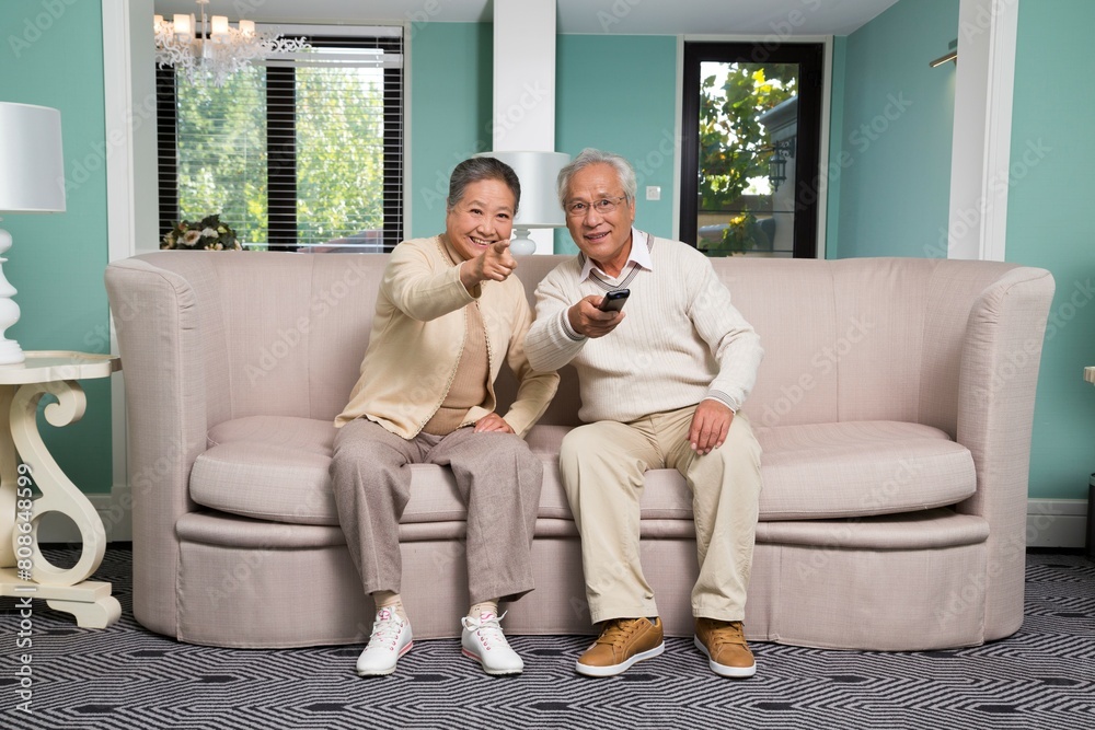 Obraz premium Elderly couple in the living room