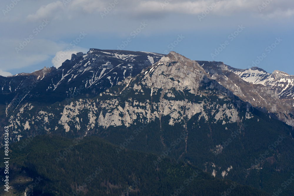 Rocky mountains and pine forests Rocky mountains and pine forests