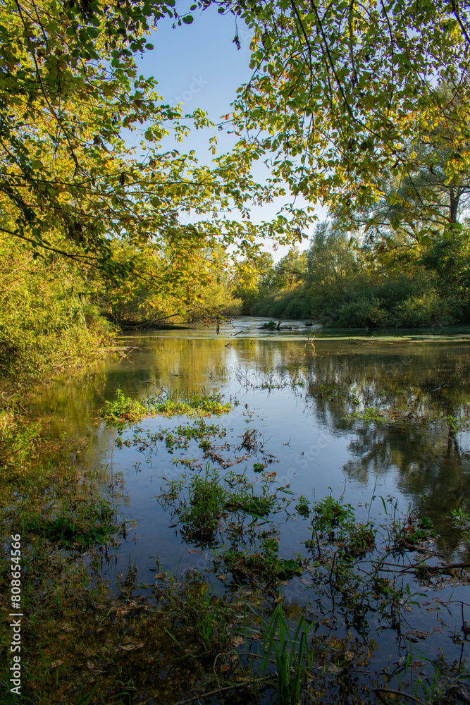 Fototapeta premium Fiume Stella ad Ariis, Rivignano Teor (UD), Friuli Venezia Giulia.