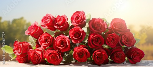 On a sunny day there is a photograph of a bouquet of stunning red roses with plenty of empty space around them for other elements to be added. Copy space image. Place for adding text and design