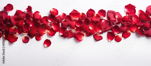 Red rose petals arranged in a frame perfect for Valentine s and Mother s Day The image contains copy space
