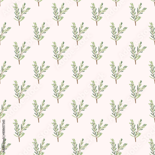 Rosemary herbs seamless pattern. Rosemary plant green leaves repeat background. Botanic endless cover. Vector hand drawn illustration.